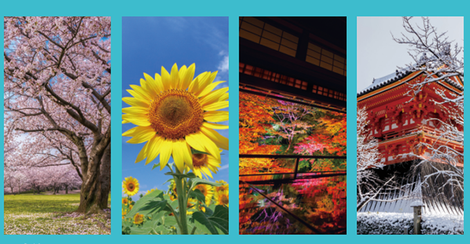 テクニス ピュアシー特徴（その３）